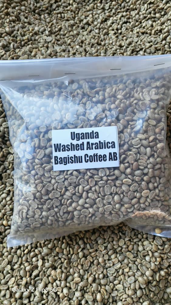 Washed Arabica AB