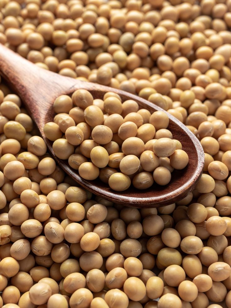 Soya Beans